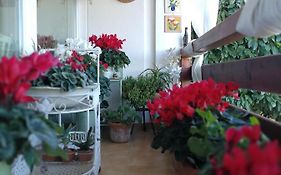Casa Di Amici